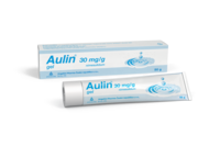 Aulingel_22_3D_vizualizace-50
