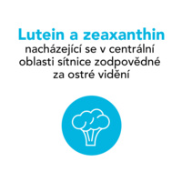 Protectum PO3_Thumbnail_2