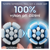 08700216199346_80765107_ECOMMERCE_CONTENT_SECONDARY_IMAGE_FRONT_CENTER_3000X3000_105__CZECH_POWER_ORAL_CARE_259866761