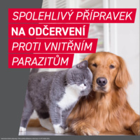 FRONTCONTROL_PG_CZ_DOG_03