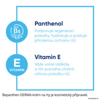 bepanthen-krem-na-rty-infografika-panthenol