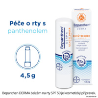 bepanthen-balzam-na-rty-infografika-panthenol