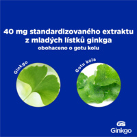 G9642_GS NEW GIN 40 bannery_červenec20242