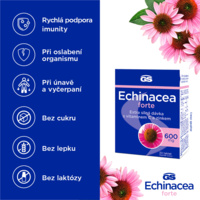 G9669_GS NEW ECHI 30 CZ bannery_červen20244