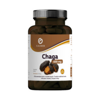 Chaga 500 mg Galmed cps 90