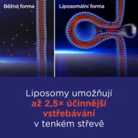 48595693301982_gslipocg100254_686670e0ee29d4.87721216