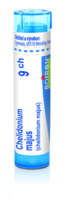 Chelidonium majus 9.jpg