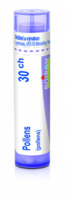 Pollens 30.jpg