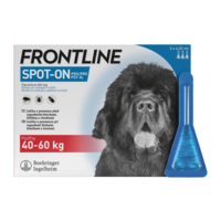 CZSK_Spot_on_Dog_XL_3pip_front_480x480px