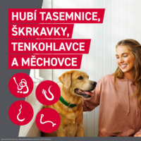 FRONTCONTROL_PG_CZ_DOG_04