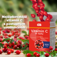 GS_VIT_C_500_infografika_60tbl_CZ_2
