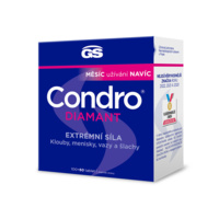 GS_Condro_160tbl_1