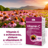 2_G9645_GS VITC+ECHI CZ bannery_září2024_2