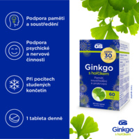 5_8595693301524_GS_Ginkgo_5