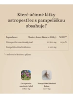 241-5_product-photo-milk-thistle-pills-7