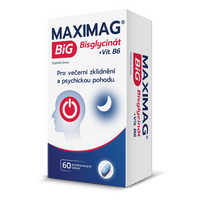 DR THEISS - MAXIMAG BIG - 3D obalu - 3-26 - 3B-1000x1000