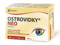 30034518-vizualizaceostrovidky-neo-cz-3030-09.jpeg