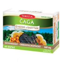 8594006897570_3D_CAGA_+-rakytnik-a-reishi_60_1280px-web.jpg