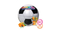 plech_zelatinky_fotbal-mic_-surovinyweb_1280px