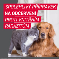 FRONTCONTROL_PG_CZ_CAT_03