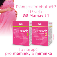 GS_MMT_comfort_infografika_4