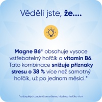 MAGNE_B6_100tbl_SI_2000x2000px5