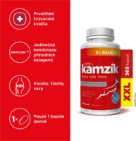 4_cemio_kamzik_infografika365_xxl_68e4a08ef153f4.76043320