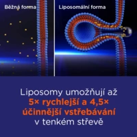 48595693301999_gslipodg100244_686672f03a60f3.36901766