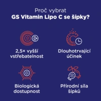 58595693301982_gslipocg100255_686670e10088c1.59607095