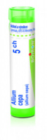Allium cepa 5.jpg