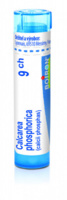 Calcarea phosphorica 9.jpg