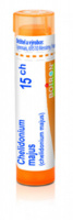 Chelidonium majus 15.jpg