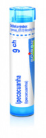 Ipecacuanha 9.jpg