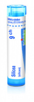 Silicea 9.jpg