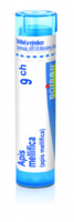 Apis mellifica 9.jpg