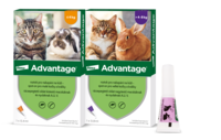 IN24-087_Advantage-vpravo1x