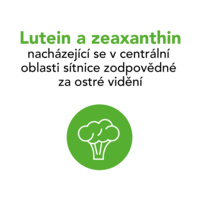 Protectum PGE_Thumbnail_2
