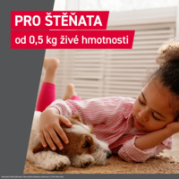 FRONTCONTROL_PG_CZ_DOG_06