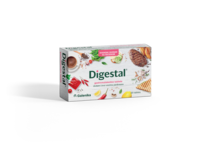 Digestal_mockup-1024x755