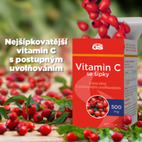 GS_VIT_C_500_infografika_120tbl_CZ_2