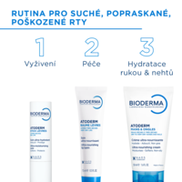 3701129810064_Atoderm_Balzam_na_rty_7_rutina