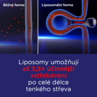 4_G10233_GS_FE_infografika_Benu_CZ_květen20254