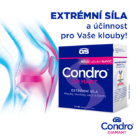 GS_Condro_160tbl_2