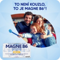 MAGNE_B6_100tbl_SI_2000x2000px1