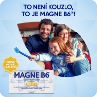 MAGNE_B6_180tbl_SI_2000x2000px1