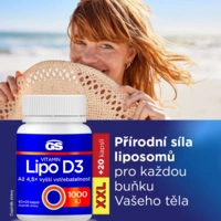 68595693301999_gslipodg100246_686672f0461732.33846794