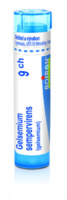 Gelsemium sempervirens 9.jpg