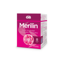 GS_MERILIN_banner_1