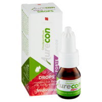 Aurecon drops forte junior_T2