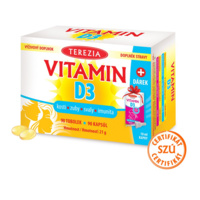 vitamin_d3_darkove-suroviny_web_1280px